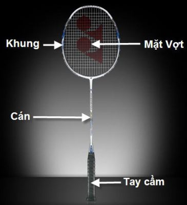 mua vợt cầu lông yonex xịn tại hà nội
