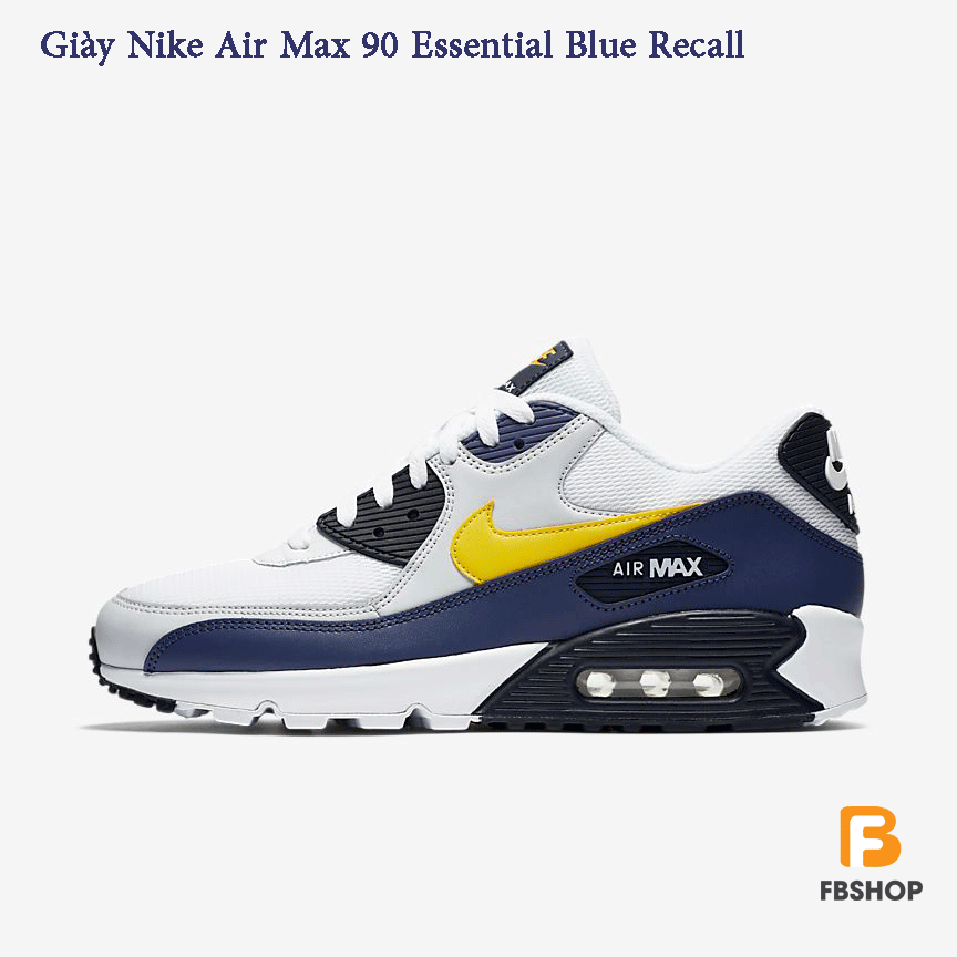 Giày Nike Air Max 90 Essential Blue Recall