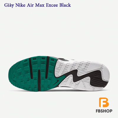 Giày Nike Air Max Excee Black