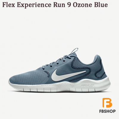 Giày Nike Flex Experience Run 9 Ozone Blue