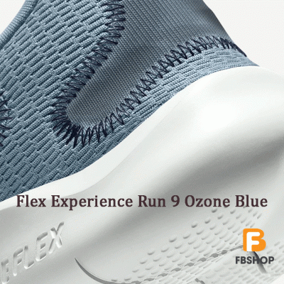 Giày Nike Flex Experience Run 9 Ozone Blue