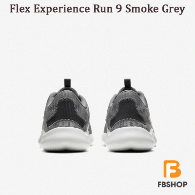 Giày Nike Flex Experience Run 9 Smoke Grey
