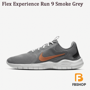 Giày Nike Flex Experience Run 9 Smoke Grey | Chuyển Động Mạnh Mẽ