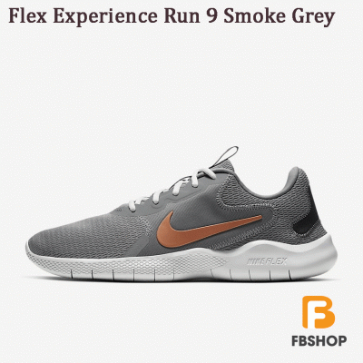 Giày Nike Flex Experience Run 9 Smoke Grey
