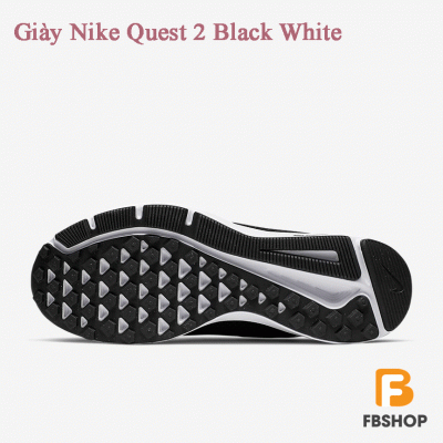 Giày Nike Quest 2 Black White