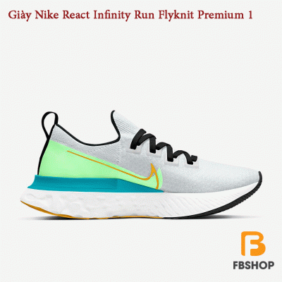 Giày Nike React Infinity Run Flyknit Premium 1