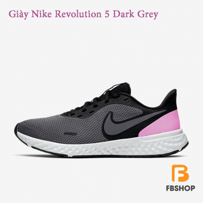 Giày Nike Revolution 5 Dark Grey 