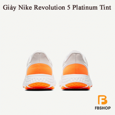 Giày Nike Revolution 5 Platinum Tint