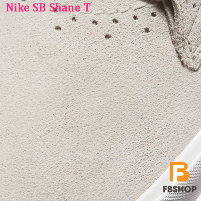 Giày Nike SB Shane T 