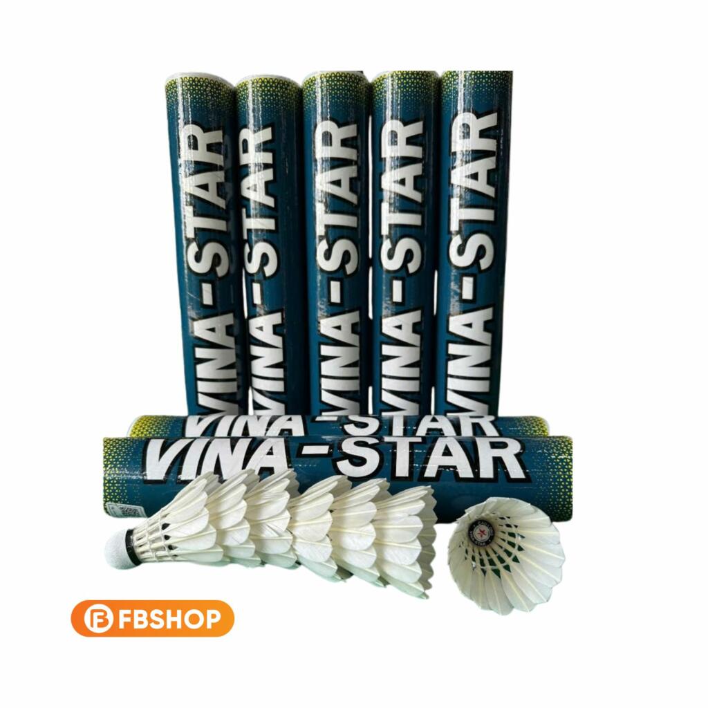 Ống Cầu Lông Vina Star Tập Luyện có xu hướng bay chậm và khá đầm 