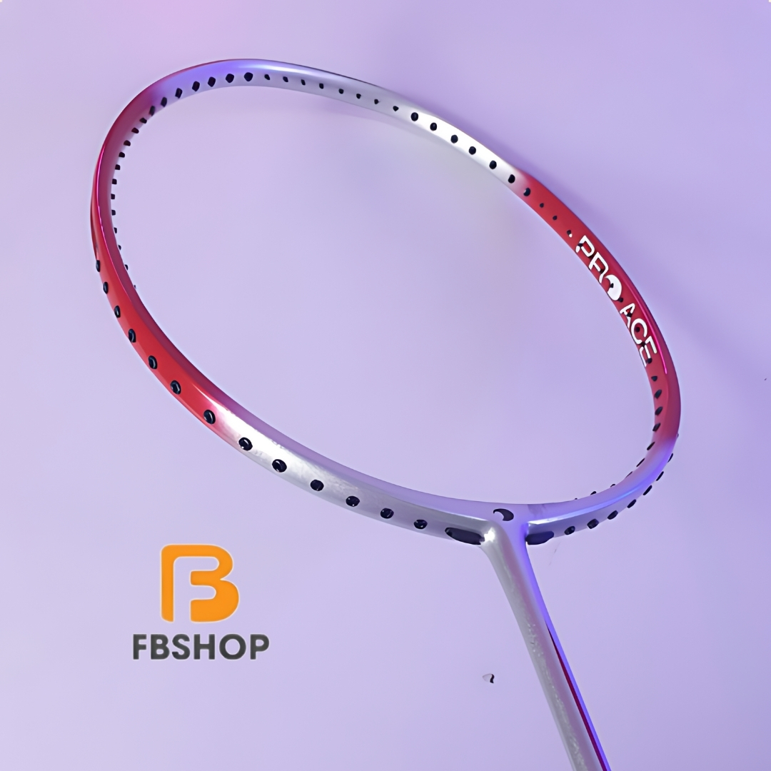 Proace Stroke 316 - Sự Kết Hợp Lý Tưởng
