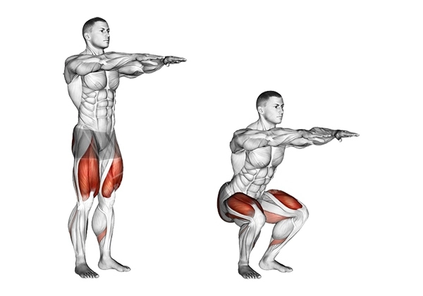 Bài tập squat