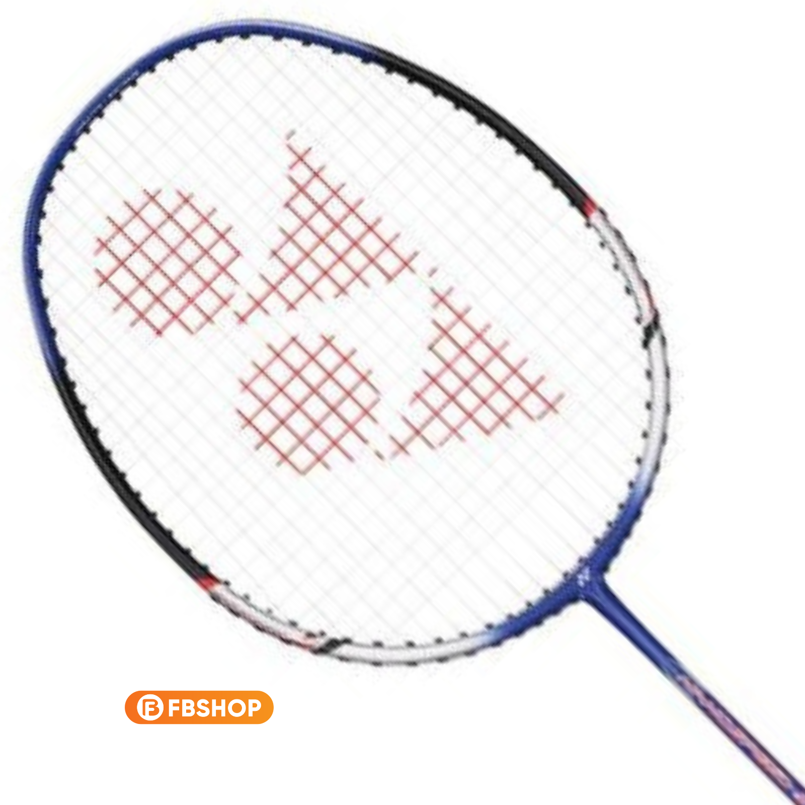 Vợt Nanospeed 2000 phù hợp với đa dạng người chơi