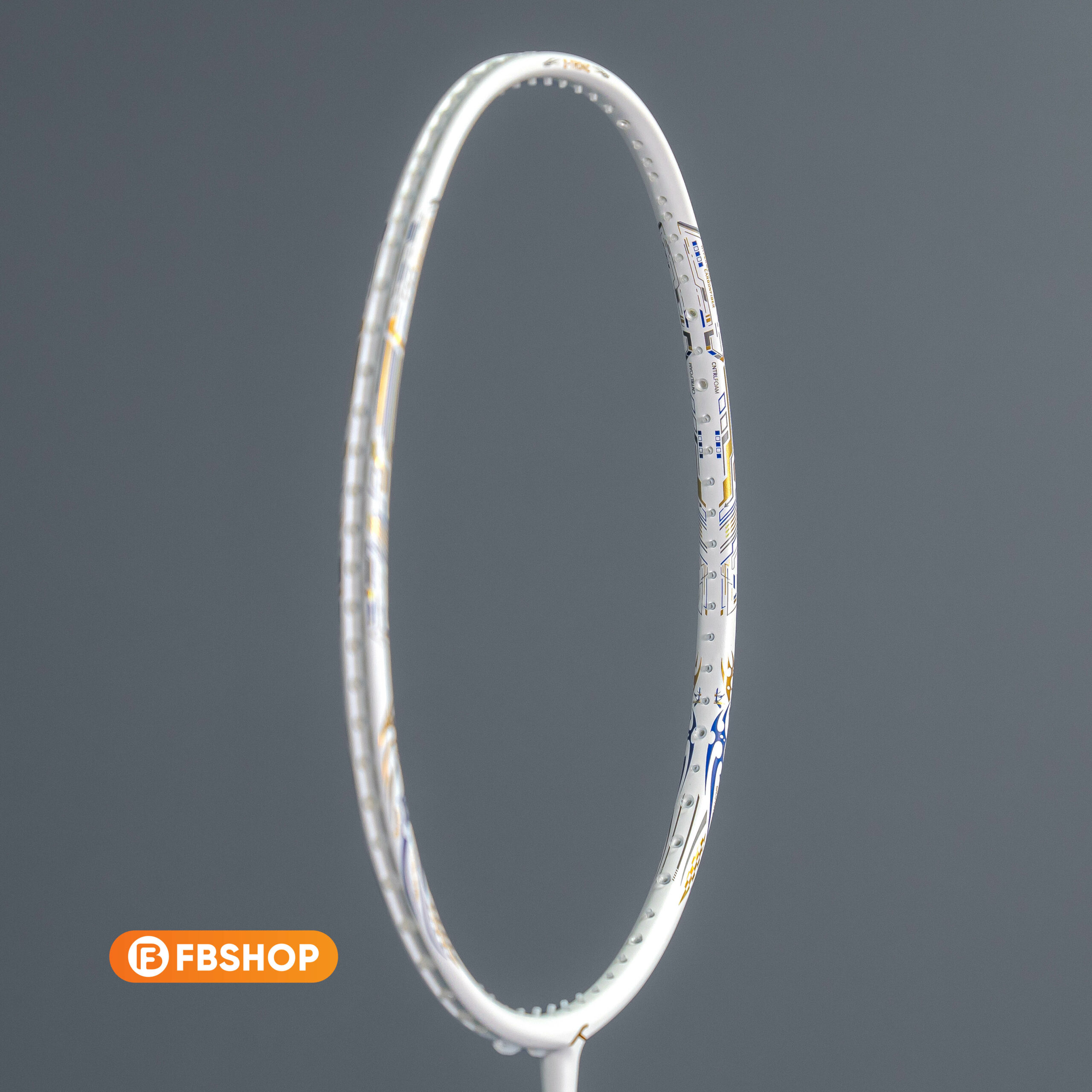 Người chơi cầu lông phong trào và vận động viên đánh đôi lựa chọn Hundred Z-Tronic 100